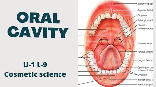 Oral cavity  Common problem of oral cavity  Cosmetic science  B pharmacy 8th sem  U1 L9 Part1 [upl. by Sigismundo]