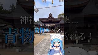 【釣り人歓喜】ルアーでハマチを釣る神社！【白鳥神社香川県】 釣り 旅行 short [upl. by Isidora]