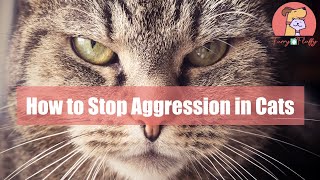 How to Stop Aggression in Cats [upl. by Solakcin]