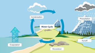 आइए जानें Water Cycle के बारे में  Hydrologiccycle  different​ steps of the watercycle [upl. by Imuyam]