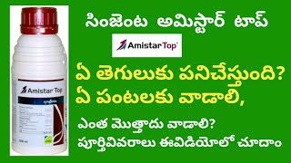 amistar top syngenta fungicide full details in telugu  BB agriculture telugu [upl. by Gareri]