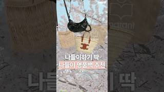 나들이 명품백 추천 [upl. by Gawain]