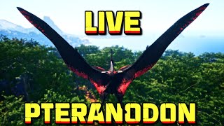 🔴LIVE  Pteranodon Pekr  The Isle Evrima Gateway [upl. by Isdnyl193]