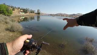 Millerton Lake Bluegill Carp and Catfish fishing [upl. by Lladnarc]