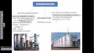 Alcohol fermentation overview [upl. by Ahsap271]