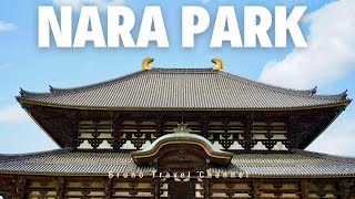 Lets go to Nara Park Daibutsu and Kinkakuji [upl. by Willyt357]