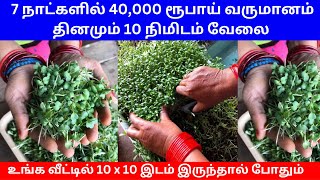 7 நாட்களில் 40000 ரூபாய் வருமானம் தினமும் 10 நிமிடம் வேலை ​ Small Business Ideas  Tamil [upl. by Cash236]