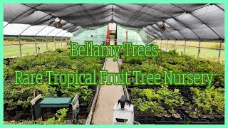 Kentucky Rare Tropical Fruit Tree Nursery Bellamy Trees Update [upl. by Frankhouse]