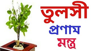 তুলসী প্রণাম মন্ত্র  Tulsi pranam mantratulsi pranam mantra in bengali  Tulsimantra [upl. by Colpin]