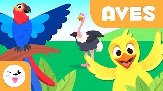 Las Aves para niños  Animales vertebrados  Ciencias naturales para niños [upl. by Sussi]