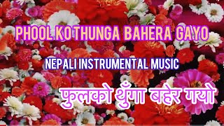 Phoolako Thunga Bahera Gayo  फुलको थुँगा बहेर गयो Nepali instrumental music  Raz Lama [upl. by Garlaand]