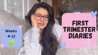 T1D first trimester Pregnancy Diary [upl. by Edahs]