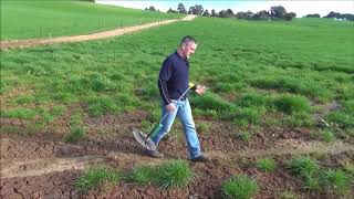 Using a plate meter to measure pasture  TIA Dairy Team [upl. by Abelard]