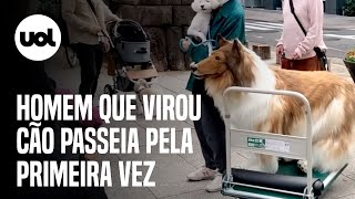 Homem que virou cão faz sucesso em primeiro passeio canino veja vídeo [upl. by Aibara]