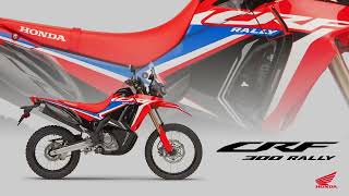 Honda CRF 300 Rally [upl. by Moneta115]