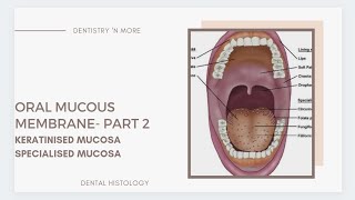 ORAL MUCOUS MEMBRANE PART 2 [upl. by Ber]