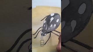 JuneBug Jour 14 Namib Desert Beetle challenge illustration watercolor bug [upl. by Colburn]