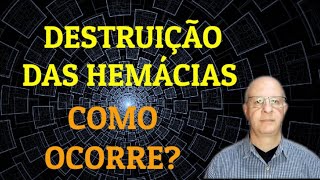 Destruição das hemácias Como ocorre [upl. by Giule]