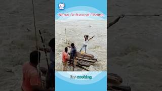 Driftwood Fishing in Nepal A Unique Tradition [upl. by Roid29]