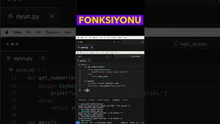 Python Dersleri  Dogru sekilde main fonksiyonunu cagirmak [upl. by Yesdnil586]