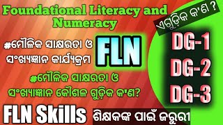 Foundational Literacy and Numeracy  FLN Skills [upl. by Enilorac387]