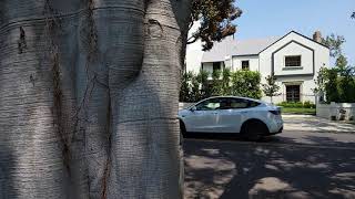 Rexford Drive Beverly Hills Walking Tour Starting  Mickey Rooney House [upl. by Adele21]