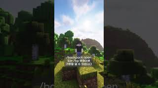 부족한 인벤토리를 늘려주는 명령어 가방 MinePacks minecraft plugins server [upl. by Richart]