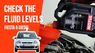 How to check the fluid levels Fiesta mk6 14 TDCI 📏 [upl. by Ailicec]