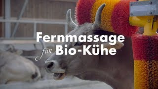 Bio Suisse  Fernmassage für BioKühe Case Study [upl. by Tisha]