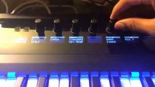 Komplete Kontrol S49 hands on review [upl. by Lon687]