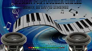 RUMBA PORTUGUESA CHELES DJ DAVID JIMENEZ [upl. by Enyawal]