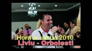 ❌Domnisoara cu par lung la majorat MorenaHora si SarbaLiviu de la Orboiesti 2010 [upl. by Pietje490]