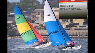 HOBIE 16s  love a windy day [upl. by Airasor]