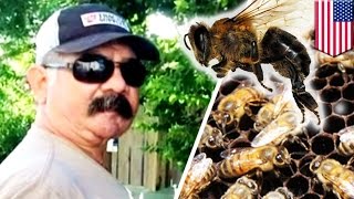 Killer bees kill man in Texas after he accidentally runs over colony with tractor  TomoNews [upl. by Ainyt]