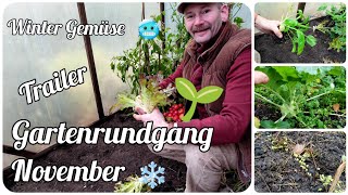 Trailer Winter Gemüse 🌱 Gartenrundgang November ❄️🥶 [upl. by Mackintosh904]