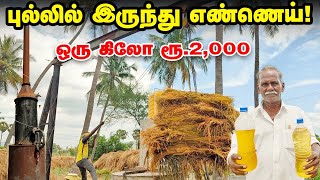 புல்லில் இருந்து Oil ஆ 😲 இது புதுசா இருக்கேப்பா  ஈஸியாக சம்பாதிக்க இப்படியும் செய்யலாம் [upl. by Eerased]