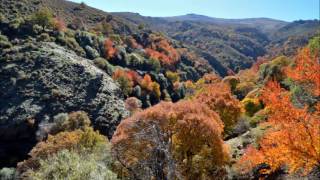 Lugros Rio Alhama Dehesa del Camarate  29 10 2016 01 [upl. by Mercie752]