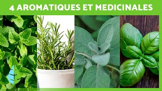 4 PLANTES AROMATIQUES et MÉDICINALES et leurs BIENFAITS sur la SANTÉ 🌿✅ [upl. by Kriss246]