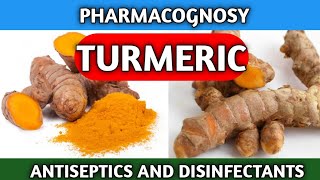 Turmeric Pharmacognosy  Antiseptics and Disinfectants  Turmeric Crude Drug [upl. by Kadner]