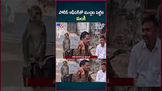 iSmart News  పోలీస్ ఆఫీసర్ తో ముచ్చట పెట్టిన మంకీ  Moneky  Police  TV9 [upl. by Tavie]