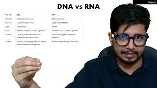 DNA vs RNA  the difference between DNA and RNA [upl. by Denise]