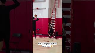 Rob Dillingham GOING OFF at NBA open runs 🔥 [upl. by Dodi]