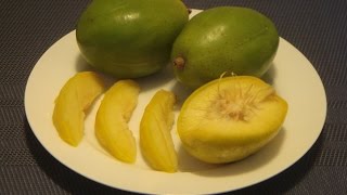 Ambarella Fruit How to Eat June Plum [upl. by Welton]