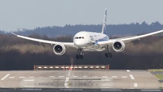 Dangerous CROSSWIND LANDINGS during a STORM  MULTIPLE ABORTED LANDINGS [upl. by Yendis148]