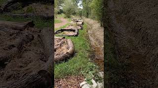 Sluice gate in action linked to clay ponds uk permaculture site permaculture nature tigwelding [upl. by Voorhis]