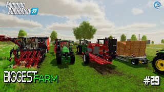 Harvest 14 Million Carrot And Delivered to Stores  29  Million Challenge  Farming Simulator 22 [upl. by Nner647]