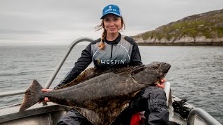 Halibut fishing in Havöysund with Nordic Sea Angling [upl. by Eetsim298]