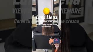 Corte de pelo cortedecabello [upl. by Beatriz]