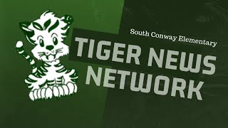 Tiger News Network [upl. by Inez]