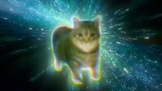 Oiiaioooooiai cat meme psytrance remix [upl. by Elegna]